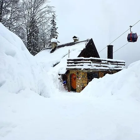 Sladjana Konukevi Jahorina