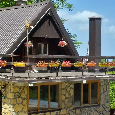 Sladjana *