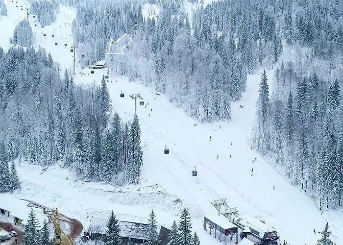 Sladjana Guest house *